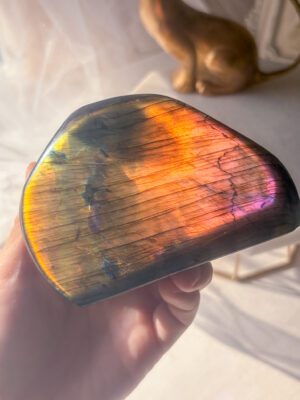 🌈Vivid Yellow& Purple Labradorite Freeform – イエロー・パープル ラブラドライト フリーフォーム